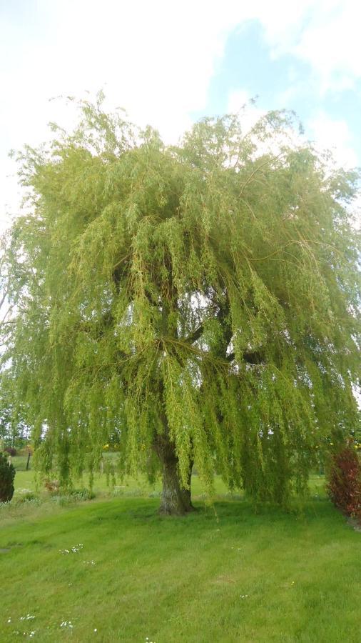 Au Grand Saule Βίλα Les Attaques Δωμάτιο φωτογραφία